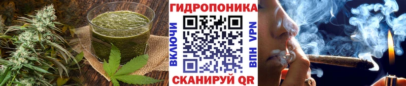 купить наркотики сайты  Чулым  Canna-Cookies конопля 
