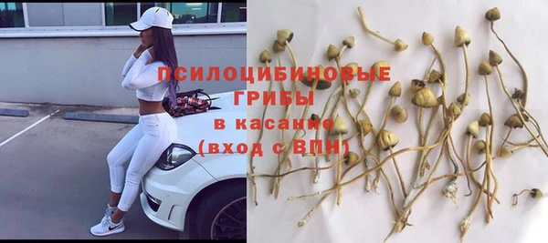 бошки Киреевск