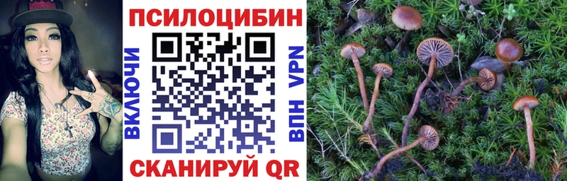 площадка наркотические препараты  где можно купить наркотик  ОМГ ОМГ как зайти  Чулым  Псилоцибиновые грибы прущие грибы 